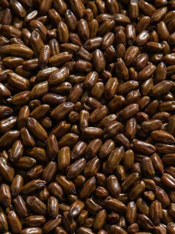CASSIA ANGUSTIFOLIA SEED POLYSACCHARIDE