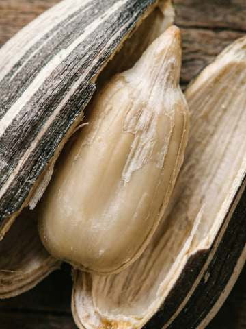 SUNFLOWER SEED WAX